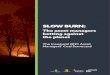 SLOW BURN - Reclaim Finance · 2021. 4. 20. · Lara Cuvelier, Reclaim Finance Contributors: Angus Satow, Lucie Pinson: Reclaim Finance Casey Harrell, Diana Best, Tanya Kar: The Sunrise