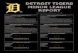 DETROIT TIGERS MINOR LEAGUE REPORTmlb.mlb.com/documents/5/0/8/231169508/2017_Minor_League...place in the West Division. Four Mud Hens relievers combined to pitch 5.0 innings, allowing