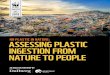 No pLAStIc IN NAture: ASSeSSINg pLAStIc INgeStIoN from … · 2020. 10. 30. · Microplastics are defined as plastic particles under 5mm in size14. Primary microplastics are plastics