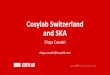 Cosylab Switzerland and SKA - EPFL · Cosylab is delivering the custom developed, open-hardware Timing boards for the GSI FAIR project, based on the CERN WhiteRabbit technology Cosylab