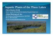 Aquatic Plants of the Three Lakes · 2016. 6. 24. · Aquatic Plants of the Three Lakes Chris Doyle, CLM Senior Aquatic Biologist/Water Quality Program Supervisor. Allied Biological,