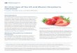 An Overview of the US and Mexico Strawberry Industries · 2018. 12. 18. · An Overview of the US and Mexico Strawberry Industries 3 production value was US$2 billion, accounting