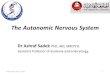 The Autonomic Nervous System - HUMSC · 1-Review the subdivisions of the nervous system. 2- Review the general arrangement and compare the sympathetic and parasympathetic parts. 3-