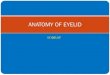 ANATOMY OF EYELIDcourseware.cutm.ac.in/.../2020/06/GROSS-EYELID-ANATOMY.pdf · 2020. 6. 27. · Lower eyelid. •Merges with the skin of cheek. Lid folds. •Orbital & tarsal portion