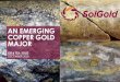 AN EMERGING COPPER GOLD MAJOR · 2021. 5. 27. · BHP Billiton Holdings Limited 13.57% Newcrest International Pty Ltd 13.49% DGR Global Ltd 9.80% Cornerstone Capital Resources 7.54%