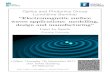 “Electromagnetic surface waves applications: modelling, design …optics.eee.nottingham.ac.uk/w/images/c/c4/SemPoster_2017... · 2017. 11. 13. · “Electromagnetic surface waves