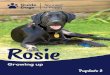 Rosie Pupdate 2Rosie continues her journey Hello, it’s Edith here, Rosie’s Puppy Walker. I’m excited to update you on her progress. Even though the last few months have been