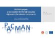 PACMAN Project: A New Solution for the High-accuracy ......PACMAN project 2 PACMAN = a study on Particle Accelerator Components’ Metrology and Alignment to the Nanometre scale It