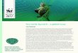 THE PROBLEM...Sea turtle bycatch – a global issue FACTSHEET 2017 BYCATCH IN FISHERIES POSES THE SINGLE MOST SERIOUS THREAT TO MARINE TURTLES WORLDWIDE1. Of …