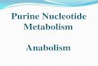 Purine Nucleotide Metabolism Anabolism · 2020. 10. 28. · De Novo Biosynthesis: This is a main synthetic pathway. The biosynthesis of nucleotides begins /very new with the use of