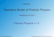 Standard Model of Particle Physics...Schöning/Rodejohann 4 Standard Model of Particle Physics SS 2013 CKM Matrix Standard Parameterisation (Euler Angles): Unitary matrix has N x N