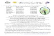 Bromelcairns · 2020. 11. 4. · 3 Tillandsioideae Runner Up Lutheria ‘Splenriet’ grown by Frances Boyd Show 2020 Tillandsioideae Results Champion Tillandsia hildae Dave Weston