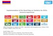 Implementation of the Road Map on Statistics for SDGs ......2019/03/05  · The Road Map lays out the activities for producing statistics on SDGs: • what needs to be done • who