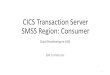 CICS Transaction Server SMSS Region: Consumer · 2016. 8. 1. · CICS Transaction Server SMSS Region: Service Provider scenario. This scenario demonstrates the consumer tasks with