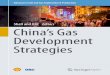 Chinaâ€™s Gas Development Strategies