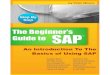 Beginner's Guide to SAP: An Introduction To The Basics of Using SAP