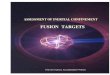 Assessment of Inertial Confinement Fusion Targets
