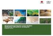 Queensland forest and timber industry situation analysis