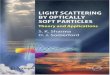 Light Scattering by Optically Soft Particles: Theory and Applications
