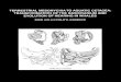 Terrestrial Mesonychia to Aquatic Cetacea: Transformation of the