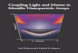 Coupling Light and Matter in Metallic Nanoparticle Arrays