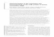 1998 Characterization of the expression and immunogenicity of the ns4b protein of human coronavirus 229E