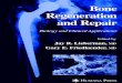 Bone Regeneration and Repair - Biology and Clinical Applns - J. Lieberman, G. Friedlaender (Humana, 2005) WW