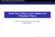 Quick Tour of Basic Linear Algebra and Probability Theory