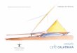 Santiago Calatrava Untitled Study for Milwaukee Art Museum