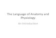 The Language of Anatomy and Physiology