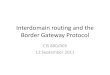 Interdomain routing and the Border Gateway Protocol