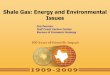 Shale Gas: Energy and Environmental Issues