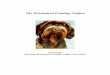 The Wirehaired Pointing Griffon -   - Get a Free Blog Here