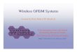Wireless OFDM Systems
