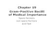 Chapter 19 Gram-Positive Bacilli of Medical Importance