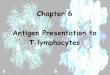 Chapter 6 Antigen Presentation to T lymphocyteselearning.kocw.net/KOCW/document/2013/gacheon/... · 2016. 9. 9. · presentation are encoded by genes within MHC MHC is located on