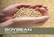 SOYBEAN - Cigi | Creating Opportunities for Canada's Field Crops