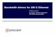 Bandwidth Drivers for 100 G Ethernet