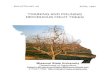 Training and Pruning Deciduous Fruit Trees - Missouri State