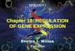 Chapter 18: REGULATION OF GENE EXPRESSION - HCC Learning Web