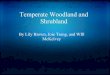Temperature Woodland and Shrubland