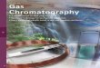 Gas ChromatographyGas Chromatography