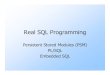 Real SQL Programming - The Stanford University InfoLab