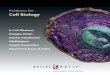 Active Motif's Products for Cell Biology Brochure