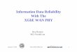 Information Data Reliability With The XGbE WAN PHY