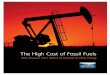 The High Cost of Fossil Fuels