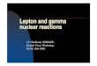 Lepton and gamma nuclear reactions