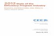 2012 State of the Efficiency Program Industry