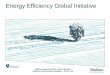 Energy Efficiency Global Initiative