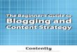 The Beginnerâ€™s Guide to Blogging and